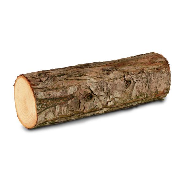 log